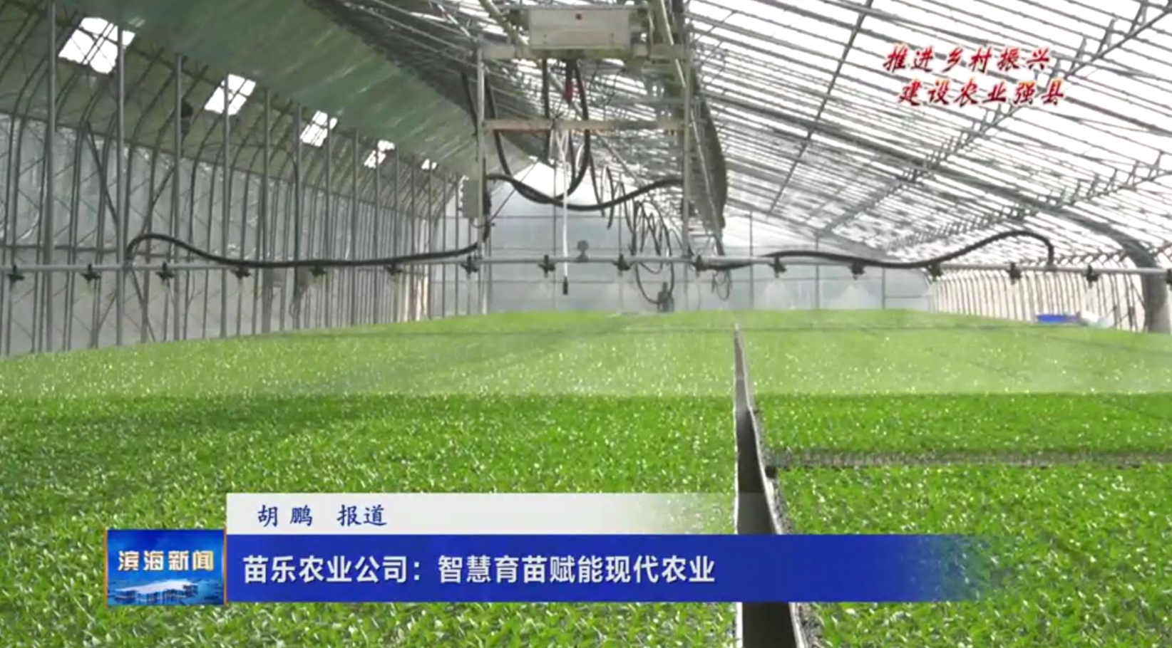 【推進鄉(xiāng)村振興建設農業(yè)強縣】苗樂農業(yè)公司：智