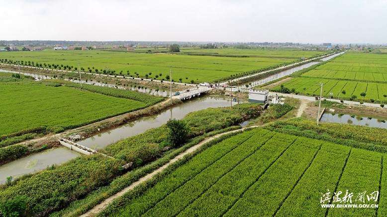 我縣強化農(nóng)業(yè)發(fā)展基礎(chǔ)保障
