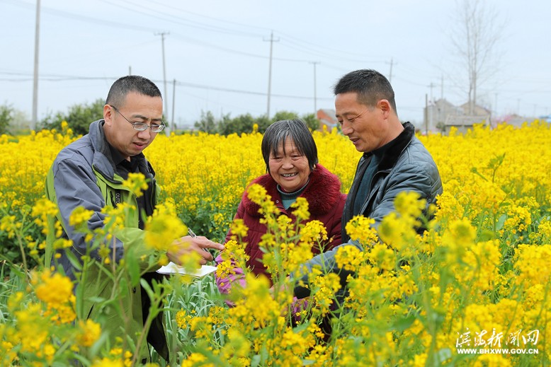 天場(chǎng)鎮(zhèn)幫扶人員到海峰村低收入農(nóng)戶(hù)家中察看油菜籽長(zhǎng)勢(shì)情況