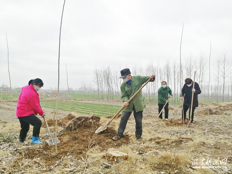 各鎮(zhèn)（區(qū)、街道）掀起植樹(shù)綠化熱潮